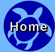 Hawaii beach accommodation